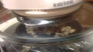 Popping corn in a NuWave type counter top oven [upl. by Aikimat]