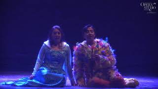 Mozart  Il Flauto Magico Die Zauberflöte  Bei Männern… Pamina Papageno  6042019 [upl. by Benenson196]