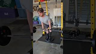 Deficit Stiffleg Deadlifts [upl. by Laurance785]