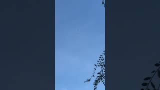 World Series Fighter jets flying Over San Marino SGV Dodgers Grand Slam Day [upl. by Nitsid]