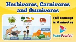 Herbivores  Types of Animals  Science for Kids [upl. by Roer]