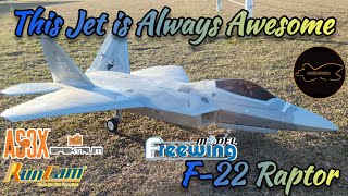 Freewing F22 Raptor Onboard Acroflight rcplane aviation pov freewing rcjet edfjet [upl. by Naret403]