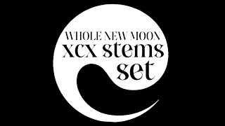 xcx stems set  WHOLE NEW MOON SOPHIE event [upl. by Yme366]