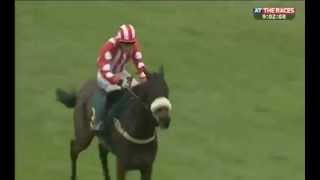 Fakenham fiasco Jockey takes wrong course [upl. by Ntsyrk643]