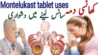 Montelukast 10 mg tablet  Myteka tablet 10 mg uses  Floaid 10 mg uses  allergy aur dama ka ilaj [upl. by Ettie892]