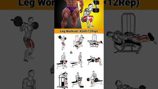 Legs workout exercises at gym shots [upl. by Poppo227]