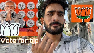 First Time Dia Mana Vote…My First VoteVlog173vote [upl. by Aicirtel820]