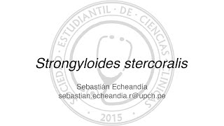 Strongyloides stercoralis [upl. by Alisander]