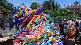 EL CABILDO 2019 I DANZA DEL TORO DE PETATE I FIESTA DE LA HERMITA [upl. by Yerfdog]