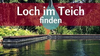 Undichter Teich So findet man einfach das Loch in der Teichfolie [upl. by Rudelson]