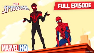 What If Many SPIDERMAN in 1 HOUSE  SPIDERMANs Story New Season 3  All Action Funny [upl. by Eniluqaj783]