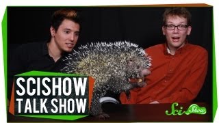 Hank and Michael Meet an Alien SciShow Talk Show 4 [upl. by Vernor487]