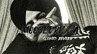 Moosedrilla Sidhu Moose Wala Trending Song Lofi [upl. by Orr735]