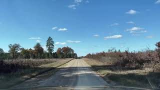 Drive with us through Necedah Wildlife Area Wisconsin Forest Woods Nature Scenic Park Refuge Reserve [upl. by Suiremed]