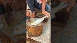 World Most Popular Big Hilsa Fish Cutting Skills Live 🤭🤭 shorts [upl. by Saref]