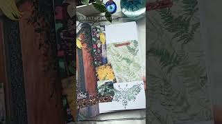 🍂 Fall Witchy Bullet Journal Flipthrough 🍂 shorts bulletjournal bujo [upl. by Aalst]