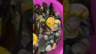 Kerang saus padang 🤤 subscribe food kerangsauspadang [upl. by Atalanti532]