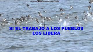 KARAOKE himno de Chimbote [upl. by Hawk458]