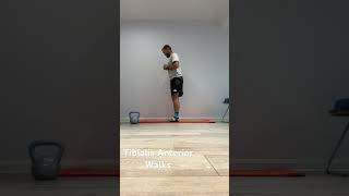 Tibialis Anterior Banded Walks strengthtraining strengthandmobility shinsplints physiotherapy [upl. by Marena597]