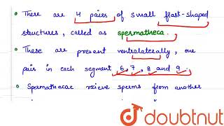 Spermatheca of Pheretima represent  CLASS 12  PERIPLANETA COCKROACH  BIOLOGY  Doubtnut [upl. by Barn711]