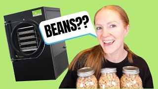 Loading Freeze Dryer A Step by Step Guide to Freeze Drying Beans [upl. by Ja557]