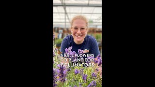 🐝 🦋 5 Fall Flowers to Plant for Pollinators [upl. by Sillyhp]