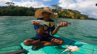 Mantapp‼️Berburu berbagai jenis ikan di karang dangkal [upl. by Twum928]