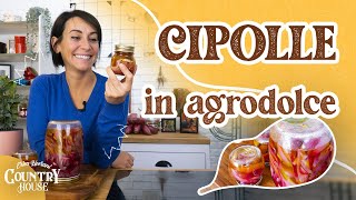 Come preparare le cipolle in agrodolce  Erica Liverani [upl. by Akimed]