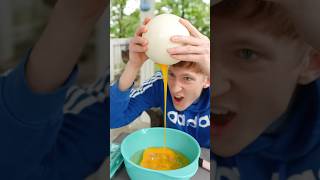 Attempting To Microwave An Ostrich Egg shorts [upl. by Alleuqram617]