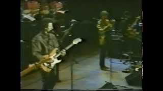 Michael McDonald  The Doobie Brothers  Echoes Of Love  1987 Reunion Tour Rare [upl. by Eirrok]