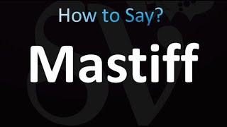 How to Pronounce Mastiff correctly [upl. by Sardella]