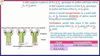 Self Incompatibility [upl. by Conyers]