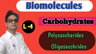 Carbohydrates  polysaccharides  Biomolecules ch9 [upl. by Nove]