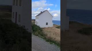 Elliston Puffin Site Newfoundland vanlife canada travelideas roadtrip ocean [upl. by Isabelita]