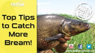 Bream fishing tips Learn how to mix groundbait and catch on the feeder [upl. by Onitsuaf]