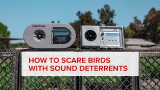 OVERVIEW EFFECTIVE SOUND BIRD DETERRENTS  Bird Distress Calls amp Hawk Calls  Bird B Gone Products [upl. by Waligore]