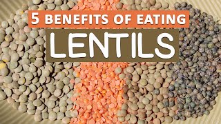 Top 5 Benefits of Eating Lentils [upl. by Stucker641]