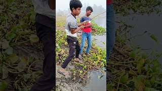 Dil Tham Lo⚡BIG FISH Fallow FOR MORE 💥 fishlover gonefishing fish🙏🙏🙏 [upl. by Igig]