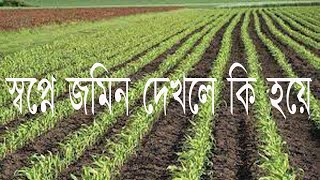 স্বপ্নে জমি দেখলে কি হয় sopne jomi dekhle ki hoy sopne jomi kinte dekhle ki hoy saifullah [upl. by Circosta510]