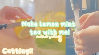 ˗ˏˋ 🌿 ˎ˗ make mint lemon tea with me 🍋 ೃ࿐  aesthetic mini vlog 💞 [upl. by Enrobyalc]