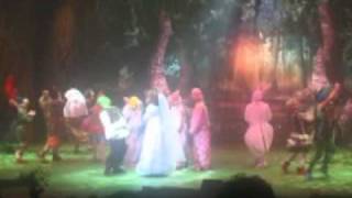 shrek the musical Im a believerhebrewשרק המחזמר אני מאמין בה [upl. by Guss994]