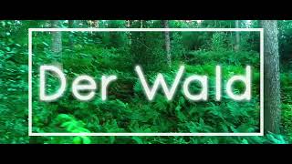 Der Wald Germany Woodwork Forest Nature Droneshots [upl. by Galvan]