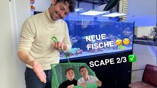 Neustart Teil 2 😳 Neue Fische ziehen ein 🤩🤣 [upl. by Tharp802]