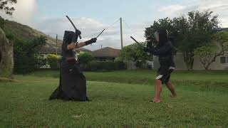 Nitoryu Katana and Wakizashi vs Escrima Dual Sticks [upl. by Northey]