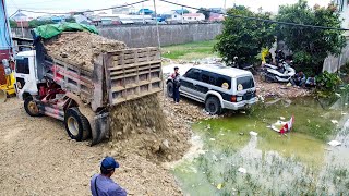 Continue work​ with Full skill Dozer D31A amp 5T truck pushing into water on flooded land [upl. by Kilian]