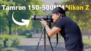 Tamron 150500mm for Nikon Z Review [upl. by Esertak]