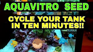 Aquavitro Seed  How To Cycle An Aquarium [upl. by Ilocin549]