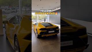 YELLOW HURACAN OR BLACK URUS LETS FUSE BOTH🔥 lamborghini lamborghiniurus urus huracan shorts [upl. by Gallagher275]