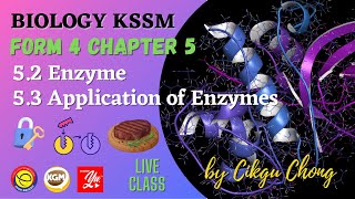 52 Enzymes and 53 Application of Enzymes [upl. by Atews]