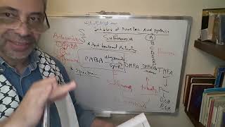 Module 310  Lecture 35 part 3 Sulfonamides cont amp Cotrimoxazole [upl. by Idur]